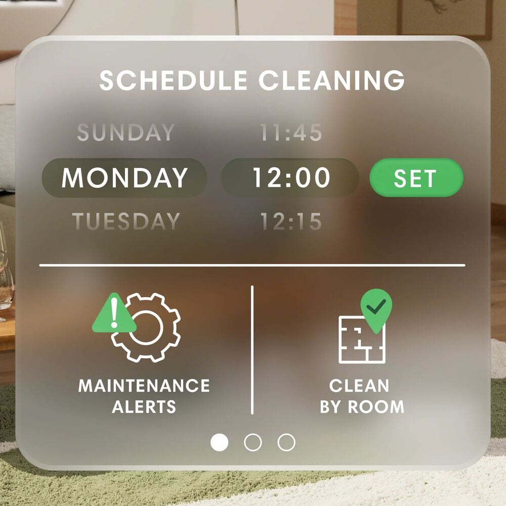 Schedule a clean
